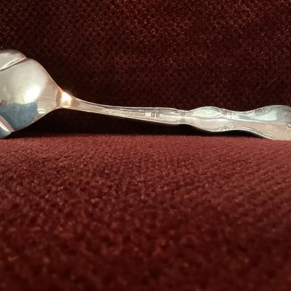 Slotted Vintage Rogers & Bros serving cake or pie server
